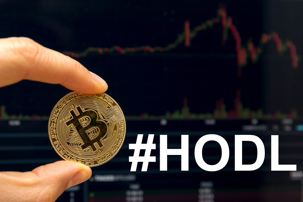 What Does HODL Mean And Is It A Good Strategy Cryptimi